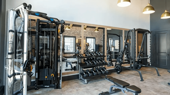 A gym with a variety of equipment including a squat rack, bench press, and dumbbells.
